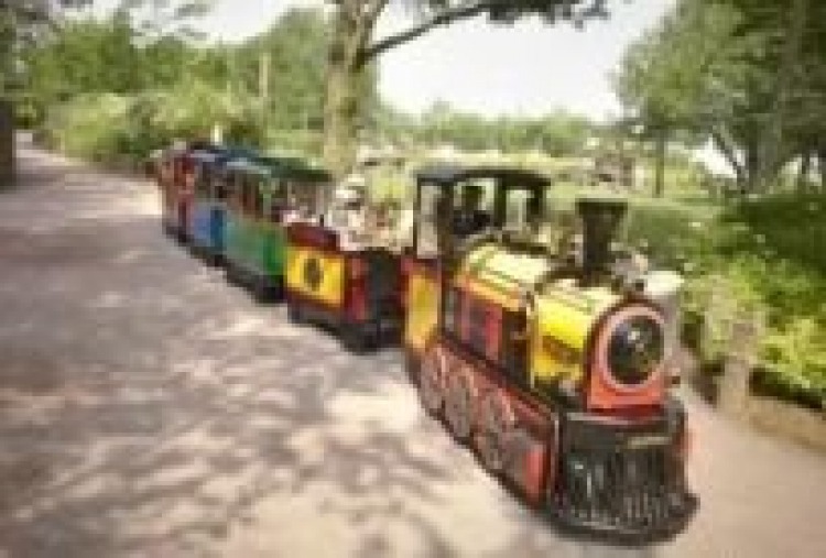 Trackless Train